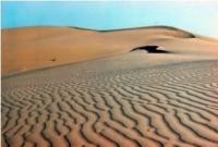 Karakum sand in reserve Repetek.