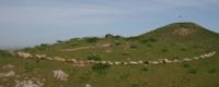 Historical and Cultural Reserve "Ordabasy".