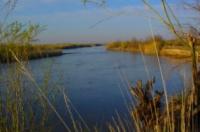 Zhetysu rivers.