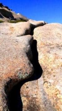 In Bektau Ata Mountains, Juniperus sabina (Kazakh "kara arsha" or "arsha kazak") is common. This creeping shrub grows on rocks and dry mountain slopes.