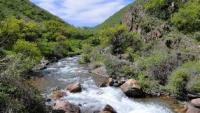 The river Uzun-Kargaly.