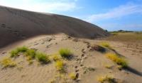 Sands Baskuduk and environs.