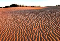 Sands Zhilimshyk and environs.