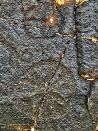 The first report of rock carvings in the upper reaches of the Boraldai River was in 1904 in the Turkestan News. In 1904, these petroglyphs were examined by Pyotr Ivanovich Komarov.