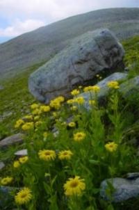 Ubinsky ridge.