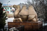 Статуя лежащего верблюда