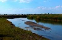 Неповторим вид дельты реки сверху