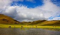 High-mountainous дайлооо in vicinities of lake the Song-Kul.