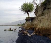 Lake Alakol and its environs.