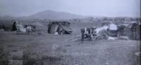 Dudin S.M. Migrating. 1899