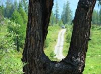 Environs of West Altai Nature Reserve.