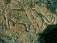 Olenty neolithic rupestrian drawings.