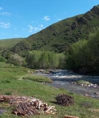 In Turgen gorge.