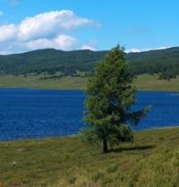 Достопримечательности Западно-Алтайского заповедника.