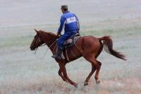 Horse and sports competition of Kazakhs.