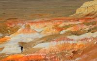 The soils of Central Asia.