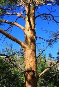 Natural sights of Central Kazakhstan.