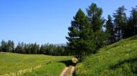 Vicinities of the pass of Alataysky. Mounts Altai.