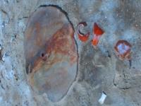 Finds in the Aral-Asar settlement. 62 kilometers northwest of the village of Karateren