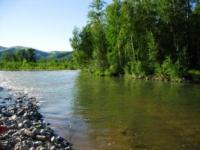 Gromotukha river on Altai.