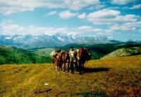 В окрестностях зимника Серсембай.
