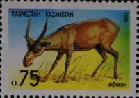 Сайга (Акбекен).