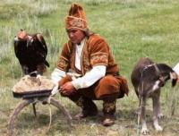 Demonstration hunting with golden eagle in Kazakhstan.