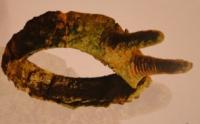 Bracelet from the Bronze Age. Central Kazakhstan.