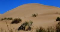 Sands Sholshagylkum and environs.