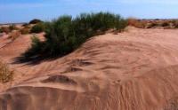 Sands Karynzharyk and environs.