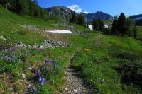 Sights on the "Wild Lakes of the Kazakhstan Altai" tour.