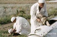 On August, 19th, 1960 start of the second spacecraft. Onboard there were dogs of Belka and the Strelka.