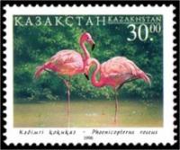 Розовые фламинго (Phoenicopterus roseus) на почтовой марке Казахстана. 1998 год.