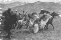 A Kyrgyz baiga. Photo by Ellsworth Huntington, 1903.