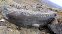 Bituminous field Munayly Mola.