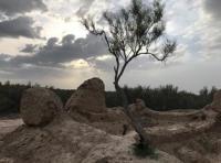 The settlement of Zhent. Kyzylorda Region.