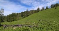 Listvyaga ridge.