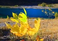 Autumn in the Issyk gorge.
