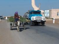 Vehicle with a donkey and the machine.