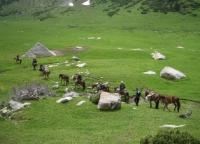Valley Chon-Tash.