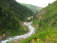 The Koktal river.