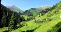 The valley Gorelnik.