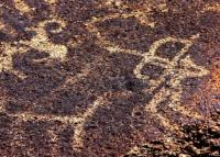The Ptroglyphs of Small Koitas and vicinities.