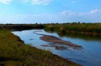 Vicinities of the delta of the river Ili.