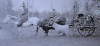 Dudin S.M. Migrating. 1899.
