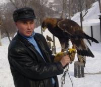Показательная охота с беркутом в Казахстане.