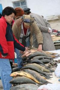 A local fish market in Aralsk.