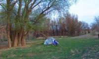 Nature of Central Asia.