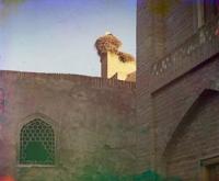 Stork in the nest. Bukhara Photo by Sergey Prokudin-Gorsky. 1905 - 1915.