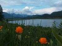 Yasevoe lake. Kazakhstan.